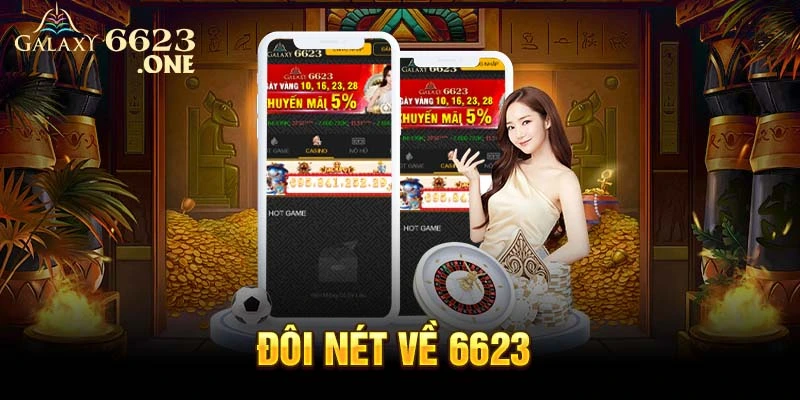 Đôi nét về 6623