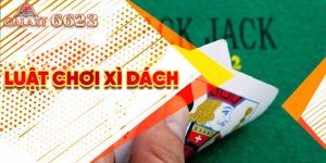 Luật chơi xì dách