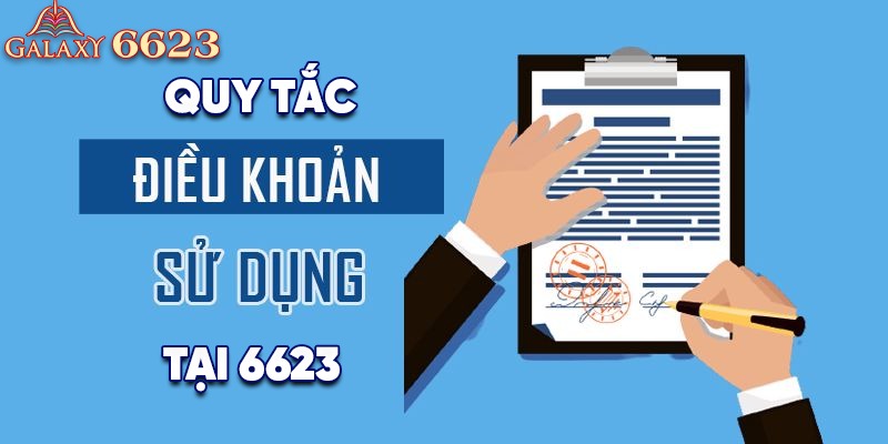 Quy tắc điều khoản sử dụng tại 6623