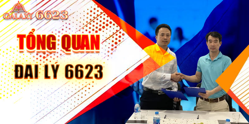 Tổng quan đại lý 6623 được gì?