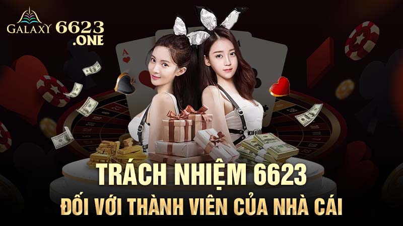 Trách nhiệm 6623 đối với thành viên của nhà cái